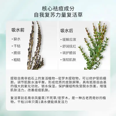 【Отправка в течение 48 часов】Маска для лица Qingling Resurrection Grass для восстановления кожи при акне, увлажняющая, питательная, успокаивающая, снимает покраснение - 3