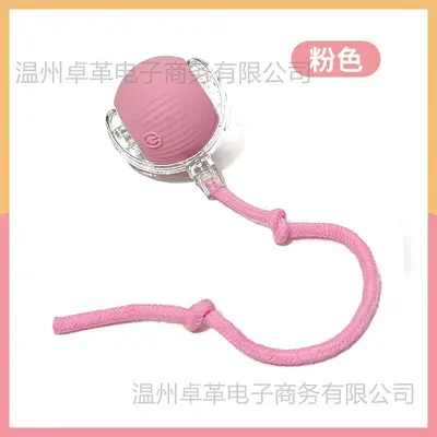 Automatic Dog Ball Toy, Chew-Resistant, for Small Dogs - 12