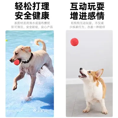 Solid Rubber Dog Ball, Chew-Resistant Dental Toy for Puppies - 5