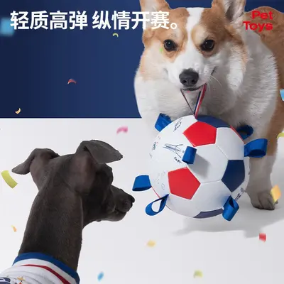 World Cup Football Interactive Dog Toy, Self-Play Energy-Burning Pet Toy - 3
