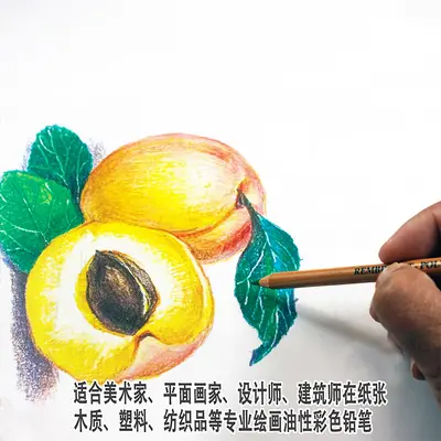 Yiya Oil-Based Colored Pencils, Waterproof and Fade-Resistant, Professional Drawing Set