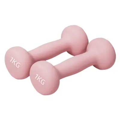 Katı Dökme Demir Dumbbells Kadın Plastik Kaplı Küçük Dumbbells Erkek Fitness Ekipmanı Ev Kullanımı Çift 2kg Spor Seti