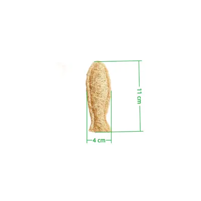 Natural Loofah Cat Toy with Catnip, Chew-Resistant - 7
