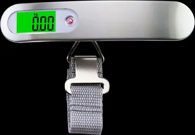 Foreign trade portable luggage scale, grocery shopping scale, hook scale, accurate fishing scale, 50kg express shipping scale - 8