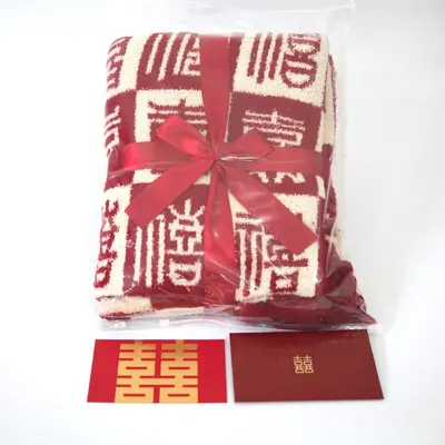 B55 Forbidden City Gift Blanket, Half-Velvet Knitted Blanket with Tassels - 3