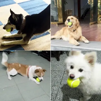 Dog Ball, Durable Rubber Tennis Ball for Training and Teething - 5