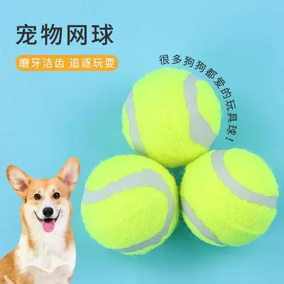 Dog Ball Toy, Chew-Resistant Rubber Ball for Training - 1