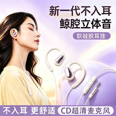Wired ear-hook headphones Type-C with gaming microphone