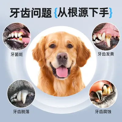 Ultrasonic Pet Teeth Cleaner Tartar Remover - 3