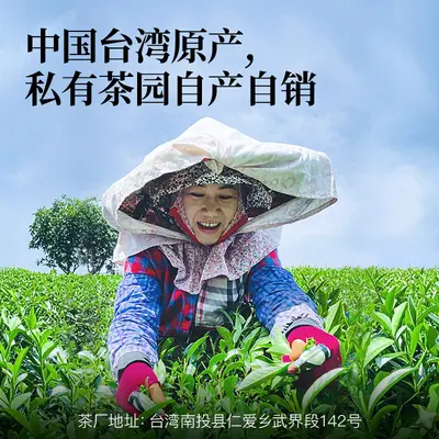 Taiwan Original Leaf Fruit Oolong Tea 25g Sample Vacuum Pack, High-End Brand Flavored Tea Private Label Gift Customization