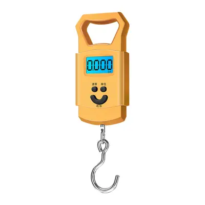 Spot toptan yeni dijital vinç ölçeği mini taşınabilir ölçekli dijital ölçekli taşınabilir yaşlı ölçeği 50 kg ekspres ölçekli - 7