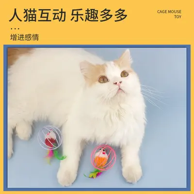Plush Mouse Cat Toy, Interactive, Self-Play - 3