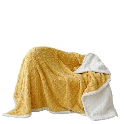 Double-Sided Lamb Wool Taffeta Blanket, Autumn Winter Double-Layer Throw - 5