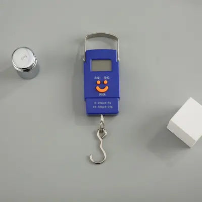 50kg elektronik terazi, hassas kargo ölçeği, yay sistemi - 8