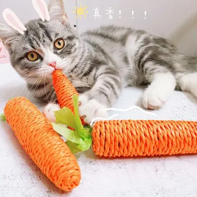 Üretici toptan kedi oyuncak kağıt halat havuç kendi kendine zevk ve sorgun giderici eser diş taşlama ve ısırmaya dayanıklı kedi malzemeleri kedi alay çubuğu