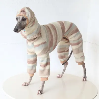 Petstyle Evcil Hayvan Kıyafeti, Küçük Tazı ve Whippet İçin