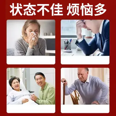 Amerikanisches Ginseng-Reishi-Proteinpulver - 3