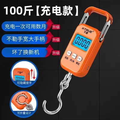 Portable electronic scale, 50kg, accurate, gram readout, spring - 10