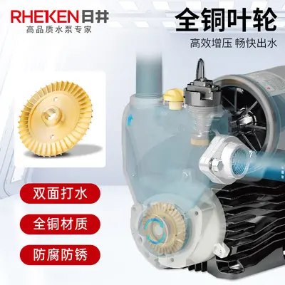 Rijing Smart Fully Automatic Booster Water Pump, Self-Priming, 220V - 3