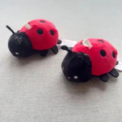 Plush Catnip Cat Toy with Simulated Bug and Tooth Cleaning - 4