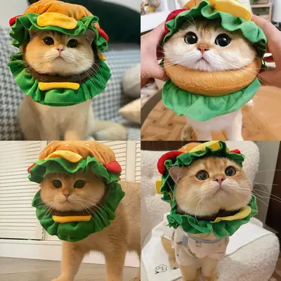 Kedi ve köpekler için hamburger şapkası, komik kostüm