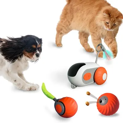 Remote Control Smart Running Toy Car with Feather Cat Teaser and Mouse - 2