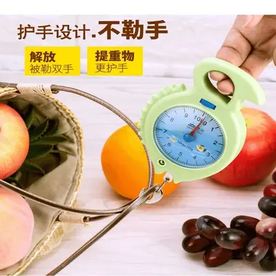 弹簧秤高精度手提称便捷式家用随身带小勾称小型手提多功能电子称