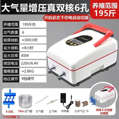 Rechargeable Outdoor Oxygen Pump, Lithium Battery, AC/DC - 6