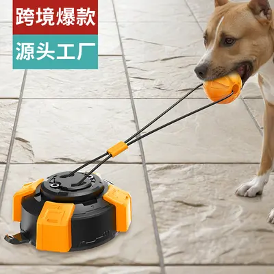 Dog Toothbrush and Chew Toy with Suction Cup and Rope