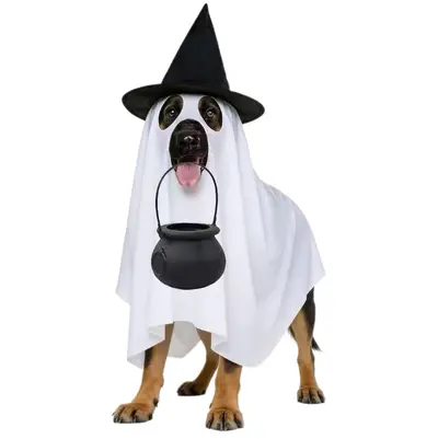 Halloween köpek hayalet kostümü, pelerin ve cadı şapkası - 6