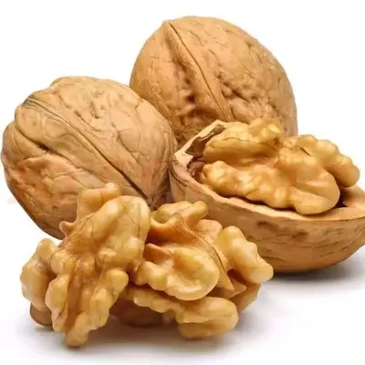 Ceviz Protein Tozu Su Çözünür Bitki Proteini - 4