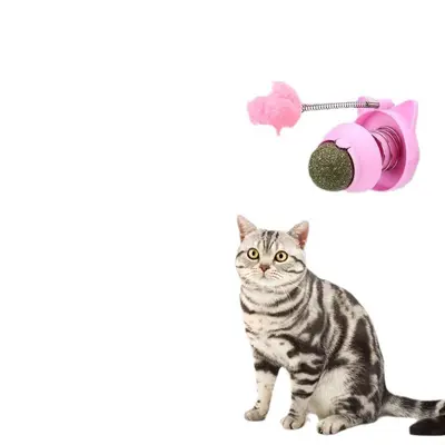 Catnip Ball, Spring Wobbling Cat Toy - 5