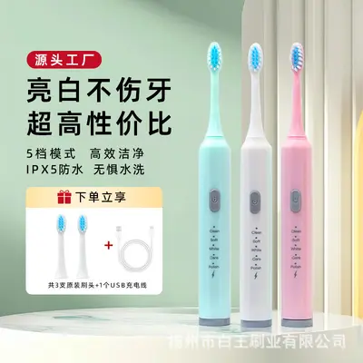 Sonic Electric Toothbrush, Lithium Battery, Rechargeable