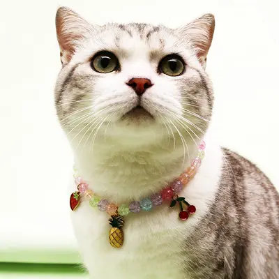 裂纹珠猫咪樱桃宠物项圈颈链公主风跨境宠物狗狗项圈