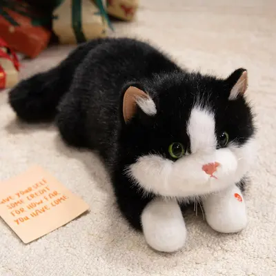 Simüle Ragdoll Kedi Peluş Oyuncak, 2026 - 13
