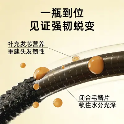 外贸shampoo洗发露膏定制oem持久留香止痒去屑控油跨境洗发水批发