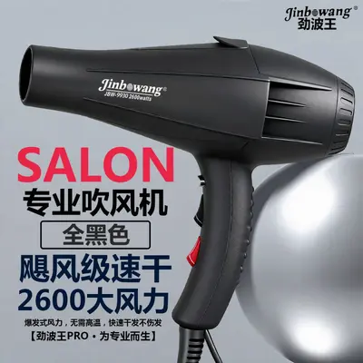 Jinbo Wang 9930 Professional Hair Dryer, Blue Light, Negative Ion - 7