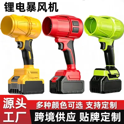 High-Power Lithium Battery Blower and Dust Remover - 2