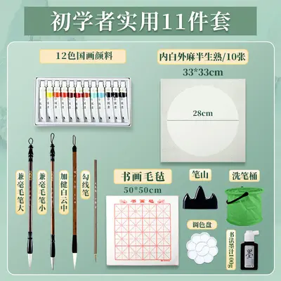 Chinesisches Malerei-Pigmentset, 12 Farben, Anfängerset mit Werkzeugen - 7
