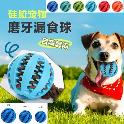 Multifunctional Pet Slow Feeder Ball and Bowl - 2