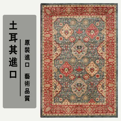 Turkish Style Non-Slip Bedroom Rug, Stain-Resistant, Thick Ethnic Pattern - 7