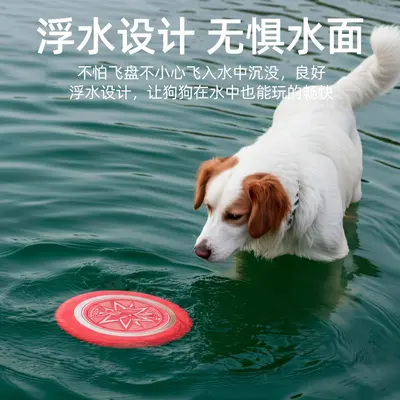 Fluorescent EVA Dog Frisbee, Soft and Bite-Resistant Training Disc - 3