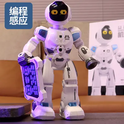Çocuk Uzaktan Kontrollü Robot, AI Eğitim