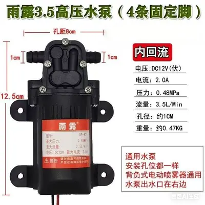 12V Tarım Pülverizatör Diyafram Su Pompası, Yüksek Basınçlı Kendinden Emişli Motor - 9