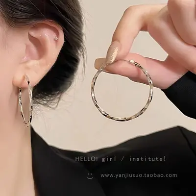 Exaggerated European and American flat hoop earrings for women, accessible luxury niche elegant, high-end earrings, 925 silver needle hot style earrings wholesale - 8