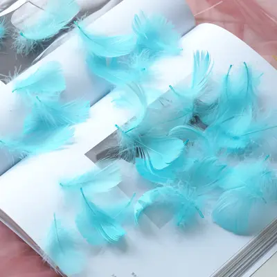 Colored Small Goose Feathers as Gift Box Filling Material - 13