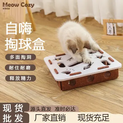 Katzenspielzeug Labyrinth mit Filzbox und Glockenball - 2