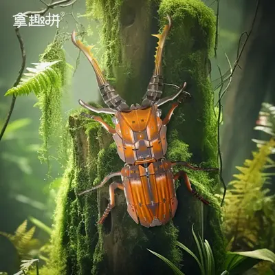 Acrylic 3D Insect Puzzle Model with Building Blocks