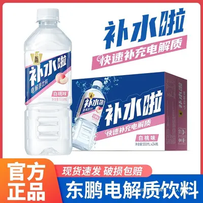 Dongpeng Electrolyte Drink Lemon Flavor 555ml x 24 Bottles - 2