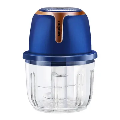 Electric garlic press and crusher with blender function for home use